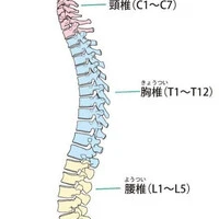 画像570