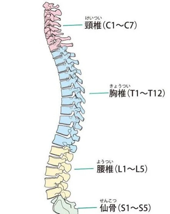 画像570